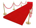 Red Carpet & Ferraycle Stainless Steel Stanchion